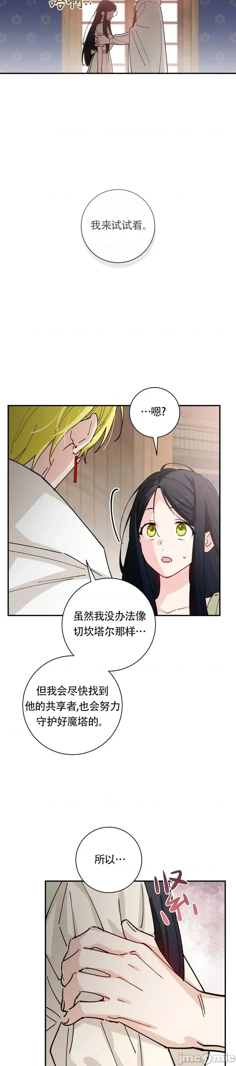 吞噬魔法师的少女 吞噬魔法师的少女6 第28页