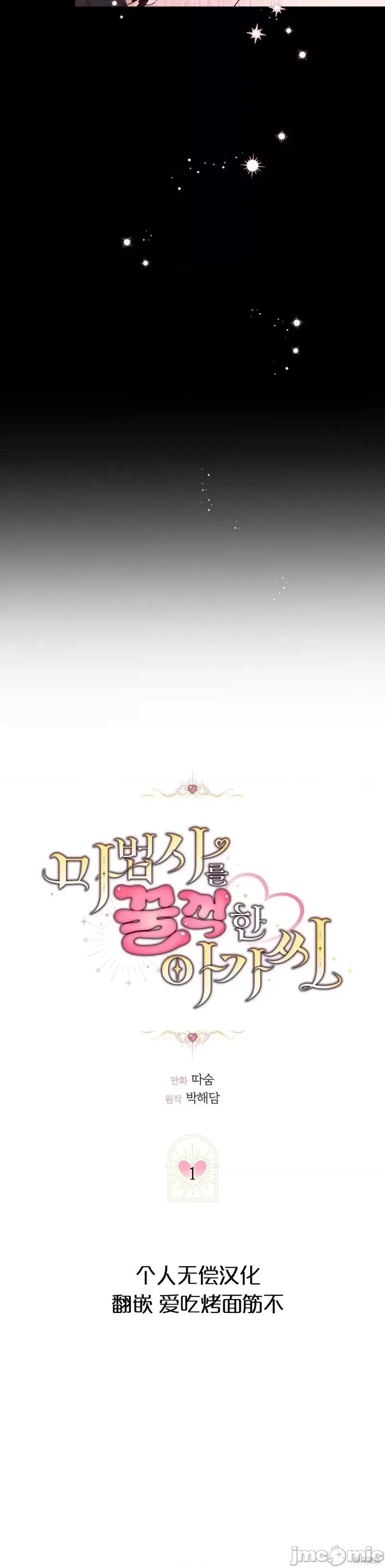 吞噬魔法师的少女 吞噬魔法师的少女 第6页