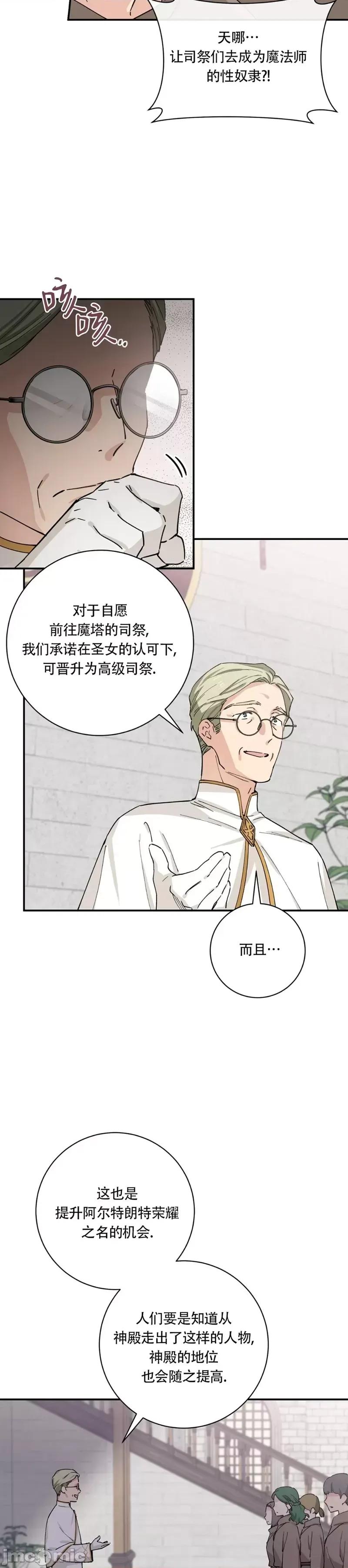 吞噬魔法师的少女 吞噬魔法师的少女 第12页