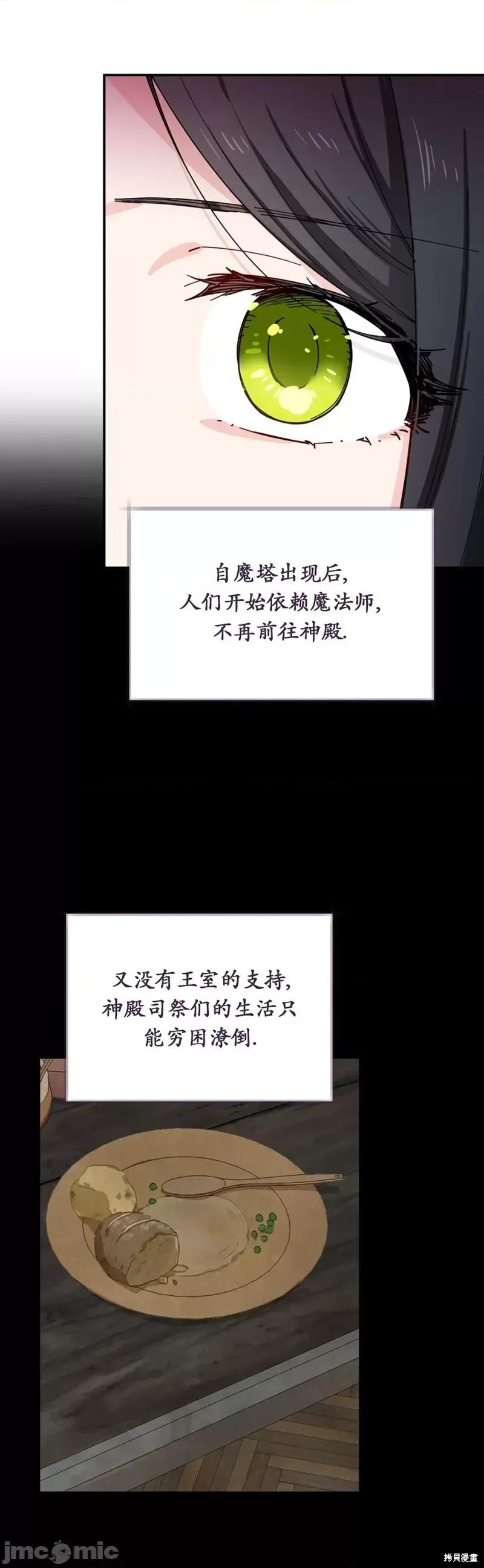 吞噬魔法师的少女 吞噬魔法师的少女 第18页