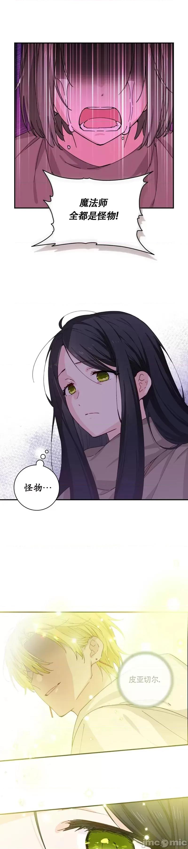 吞噬魔法师的少女 吞噬魔法师的少女 第23页