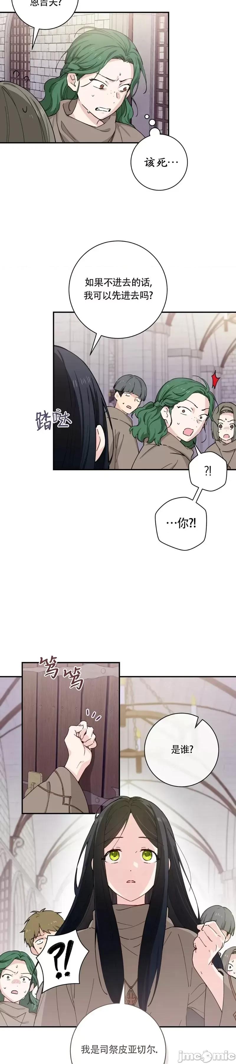 吞噬魔法师的少女 吞噬魔法师的少女 第25页