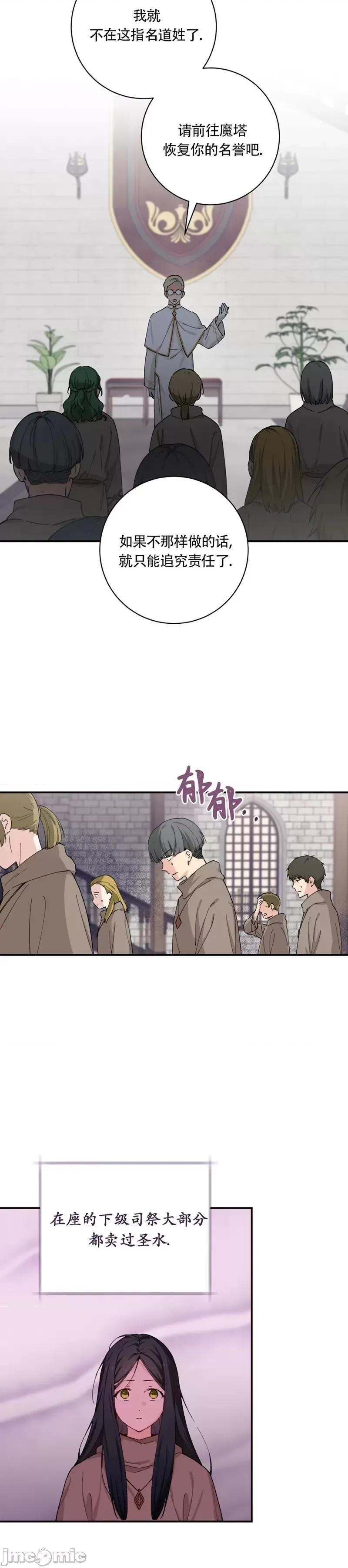 吞噬魔法师的少女 吞噬魔法师的少女 第17页