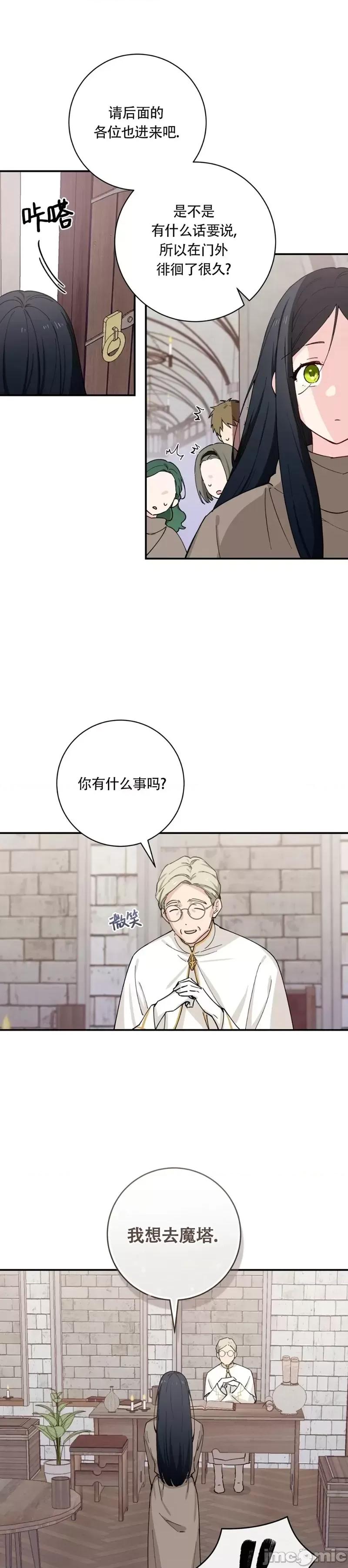 吞噬魔法师的少女 吞噬魔法师的少女 第27页