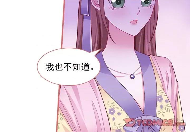 娘子嫁到 娘子嫁到-第 41 话 第3页
