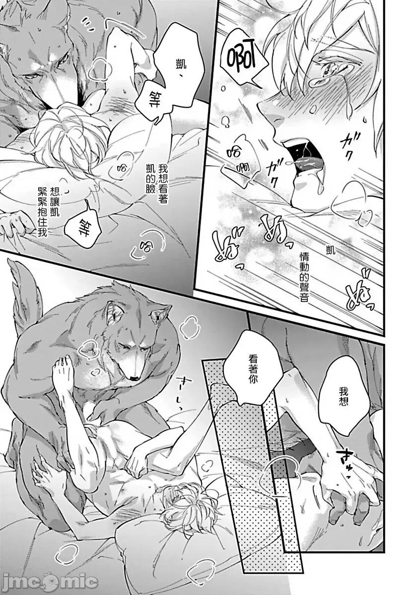 XLサィズBL XLサイズBL 2-10 第200页