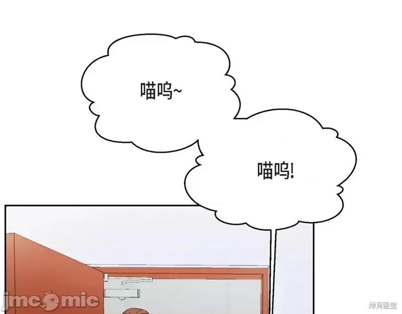 绝对所有 绝对所有第36话.zip 第11页