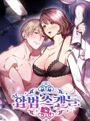合法丑闻