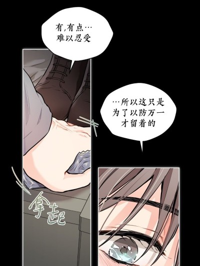 我家有老鼠