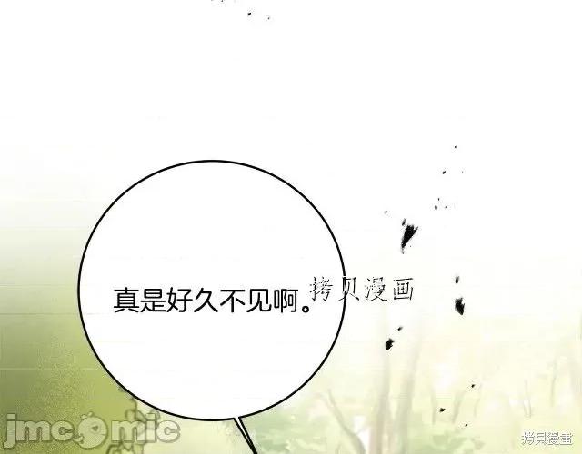 成为小说中的恶役女王 成为小说中的恶役女王第68话.zip 第167页