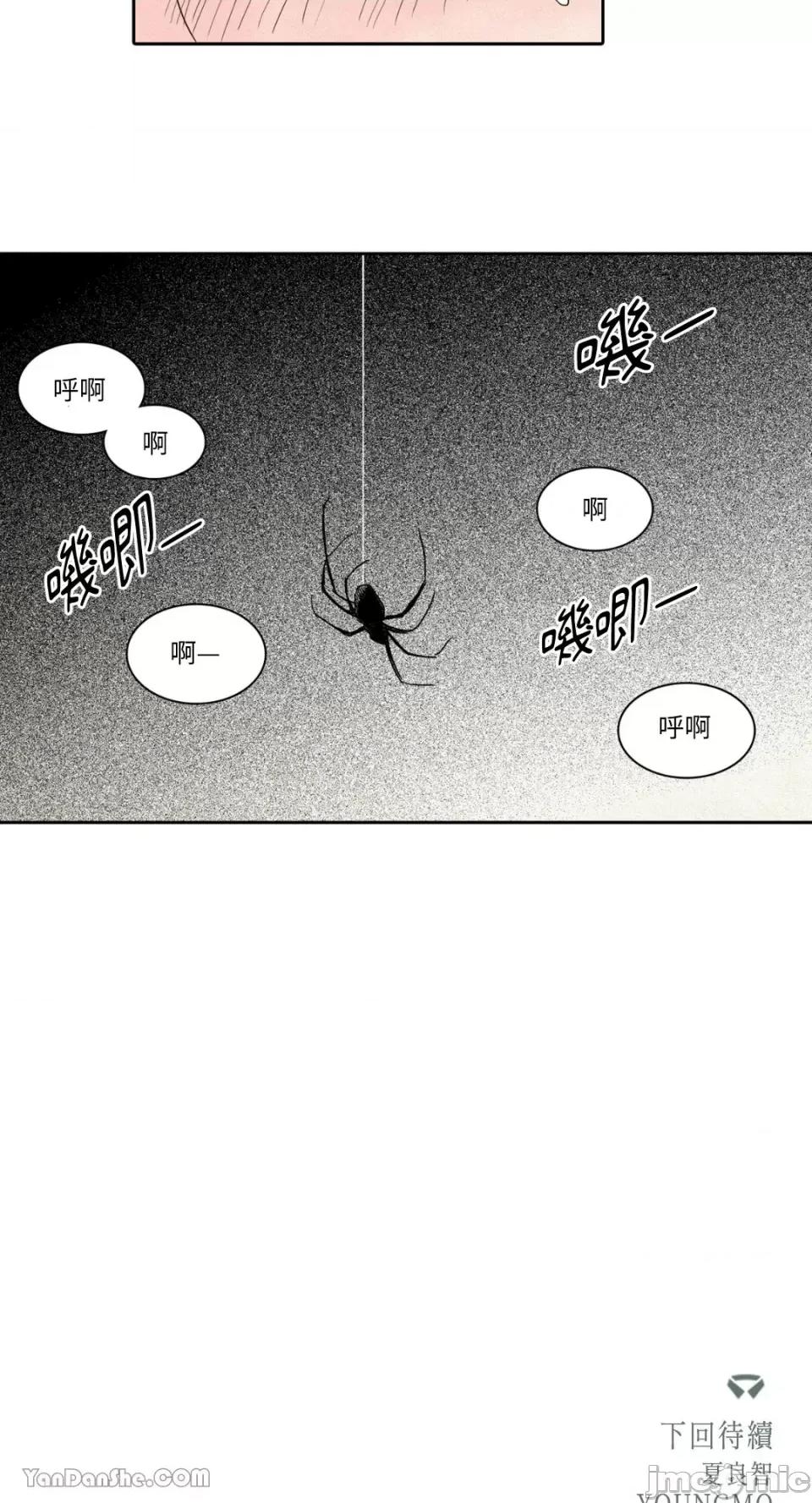 兔子洞-Rabbit Rabbit Hole-16 第27页