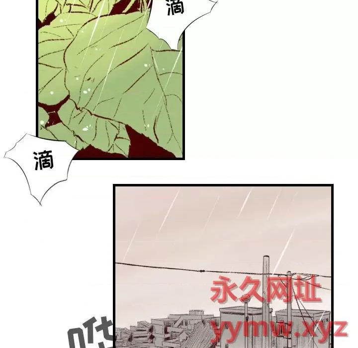 城市 堕落城市-第 33 话 第52页