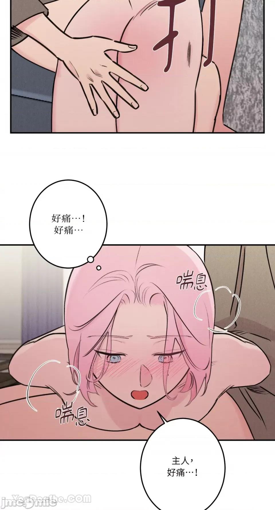 请开发我吧！ 请开发我吧！-24 第12页