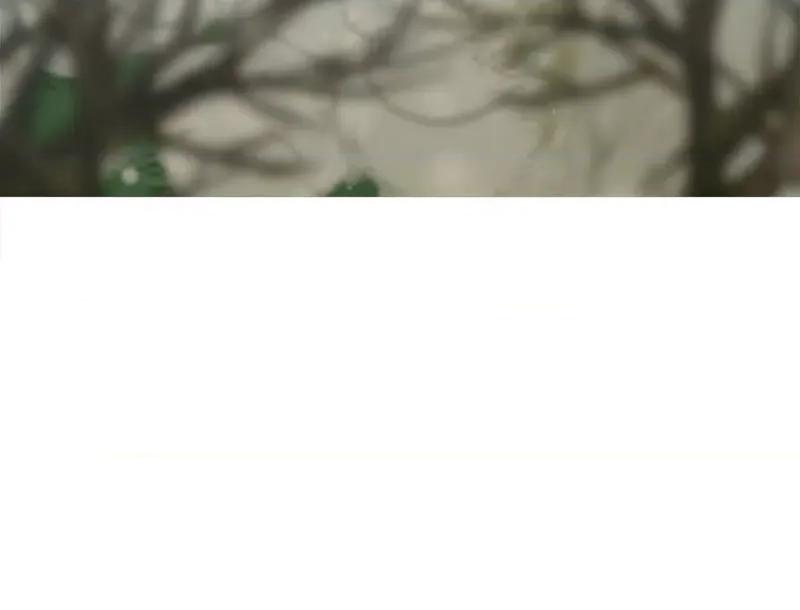 毒酒 毒酒8 毒酒 第102页