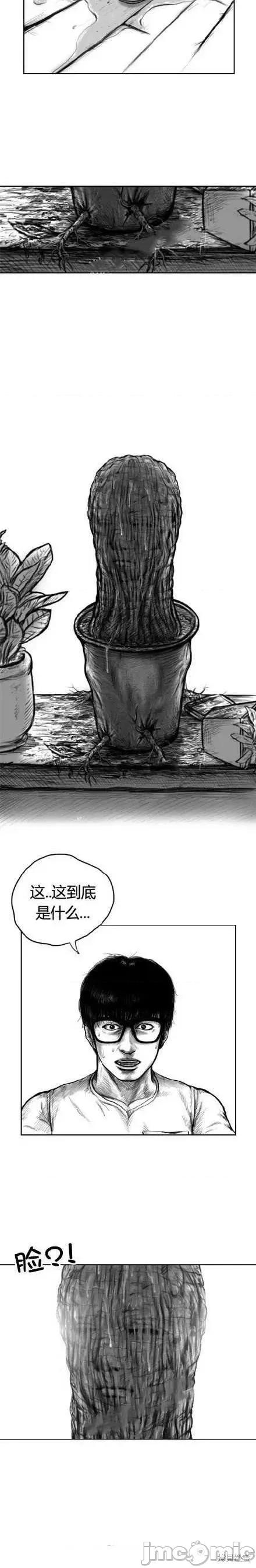 人头盆栽 人头盆栽2 第26页
