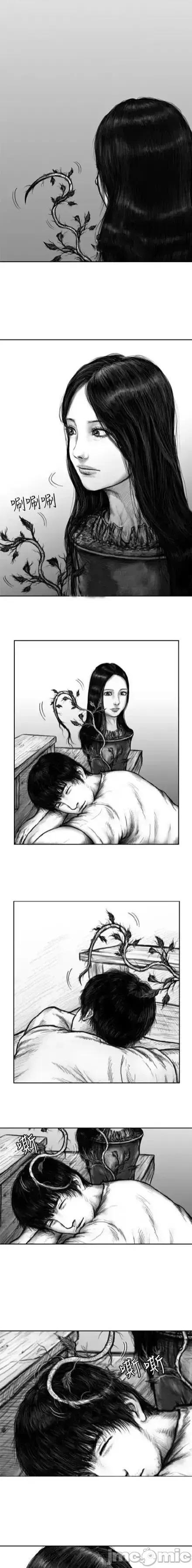 人头盆栽 人头盆栽5 第5页