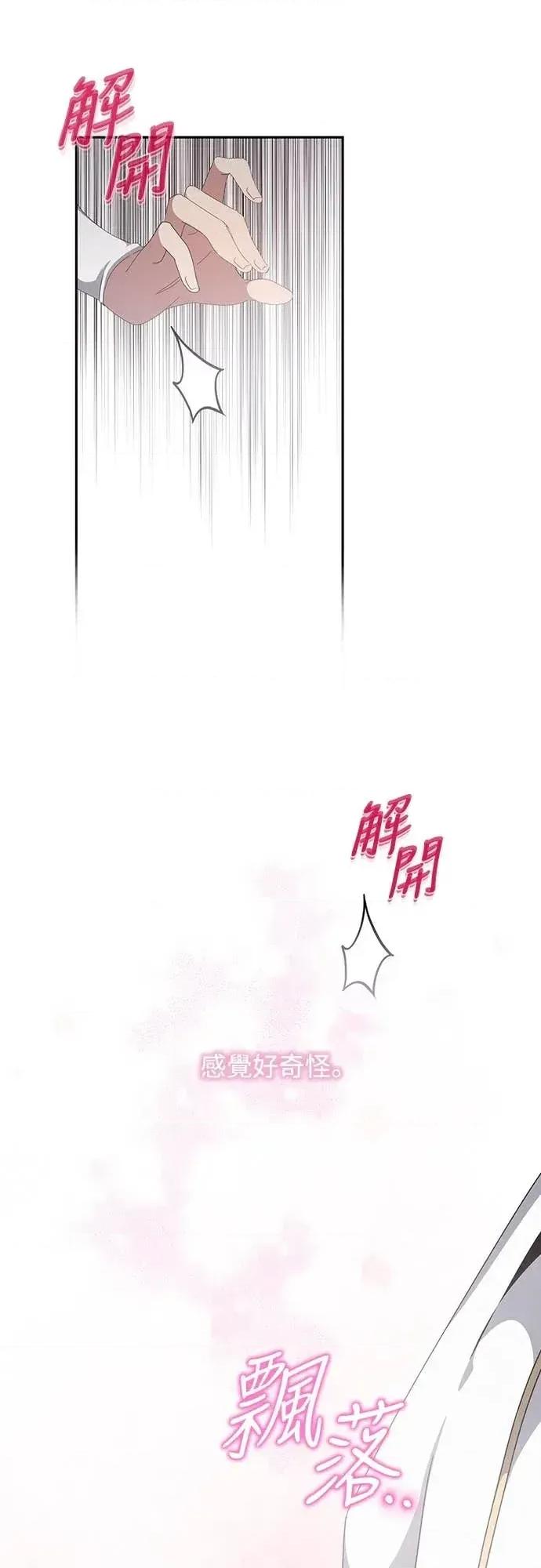 蹂躏我吧，圣骑士 蹂躏我吧，圣骑士-第2话 第44页