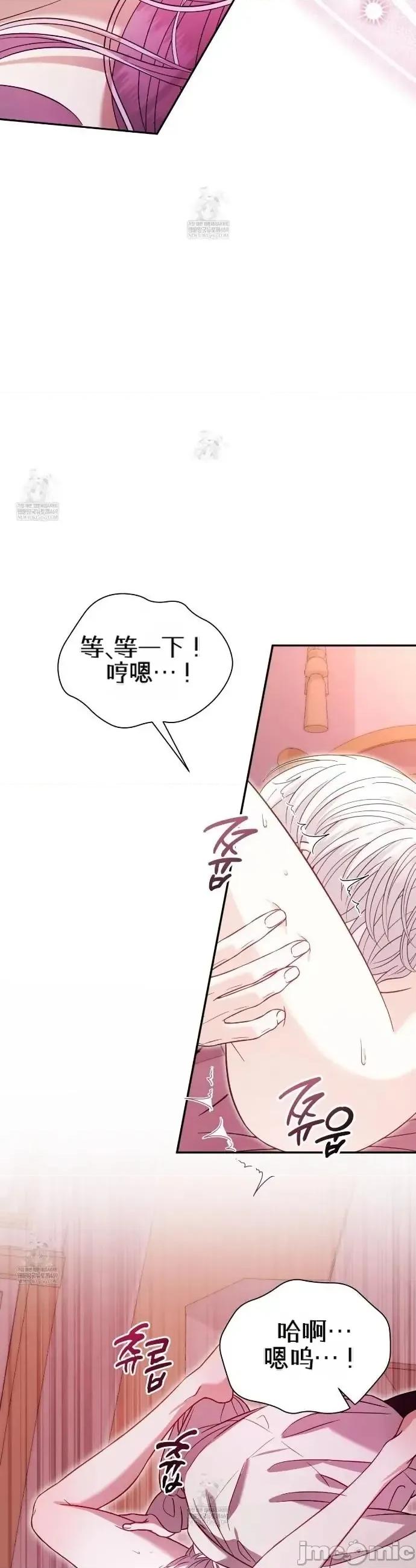 被不纯洁的救世主吃掉 被不纯洁的救世主吃掉 第26页