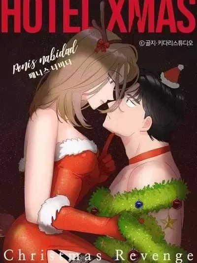 圣诞节復仇记