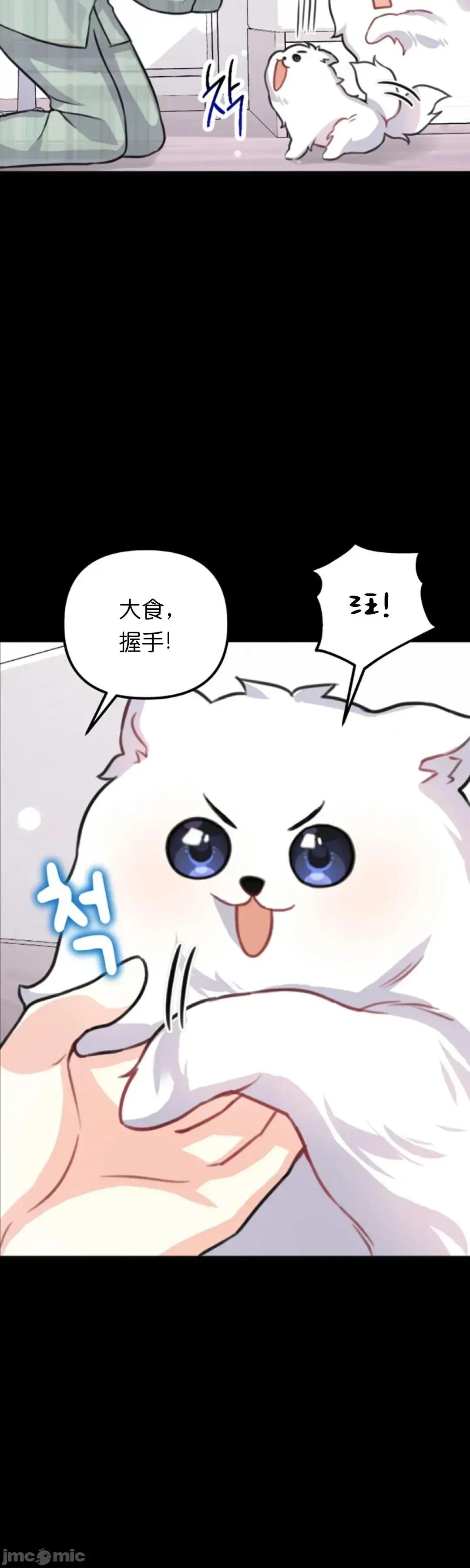我的小公狗 我的小公狗5 第11页
