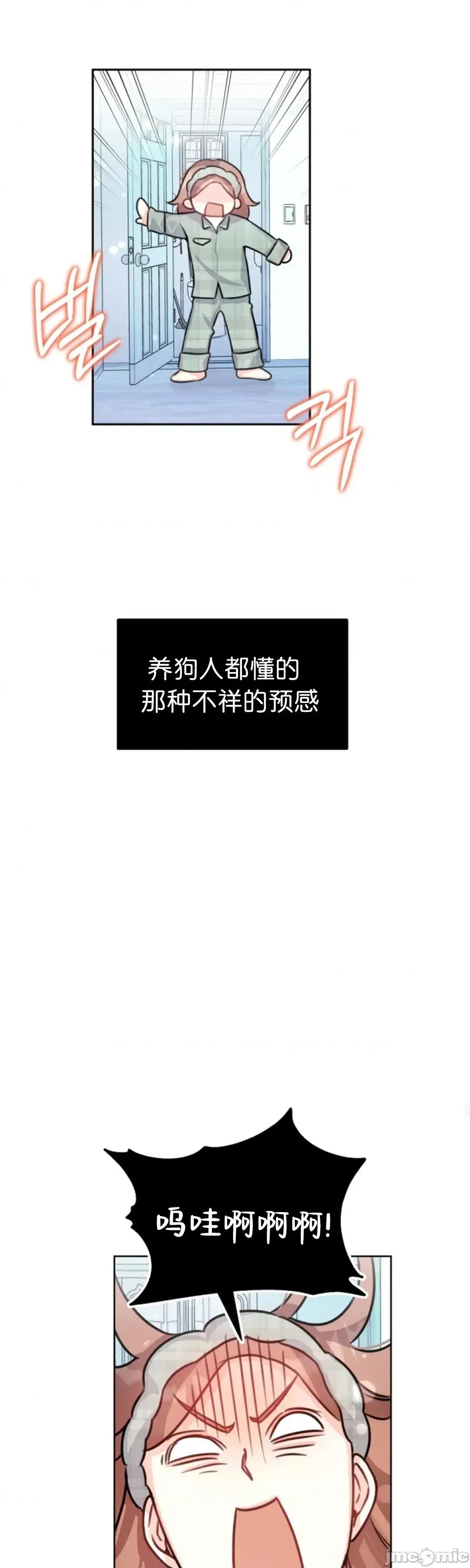 我的小公狗 我的小公狗5 第35页