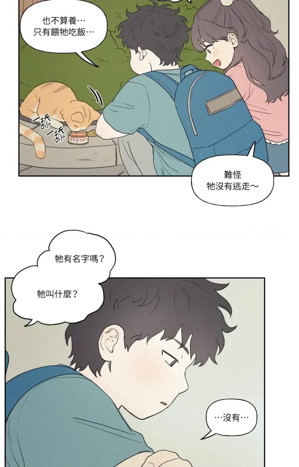 3XLOVE 3XLOVE 第14页