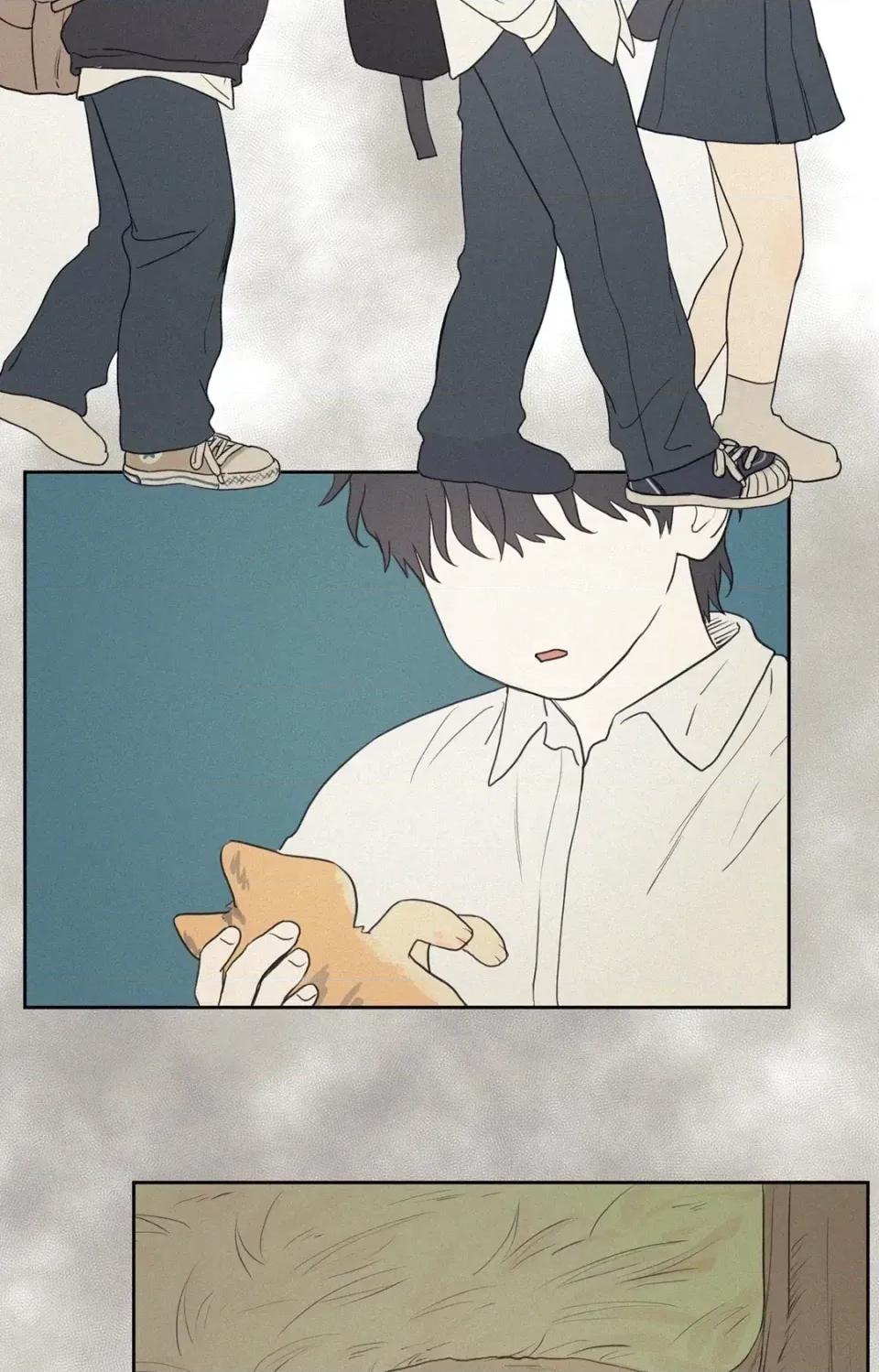 3XLOVE 3XLOVE 第33页