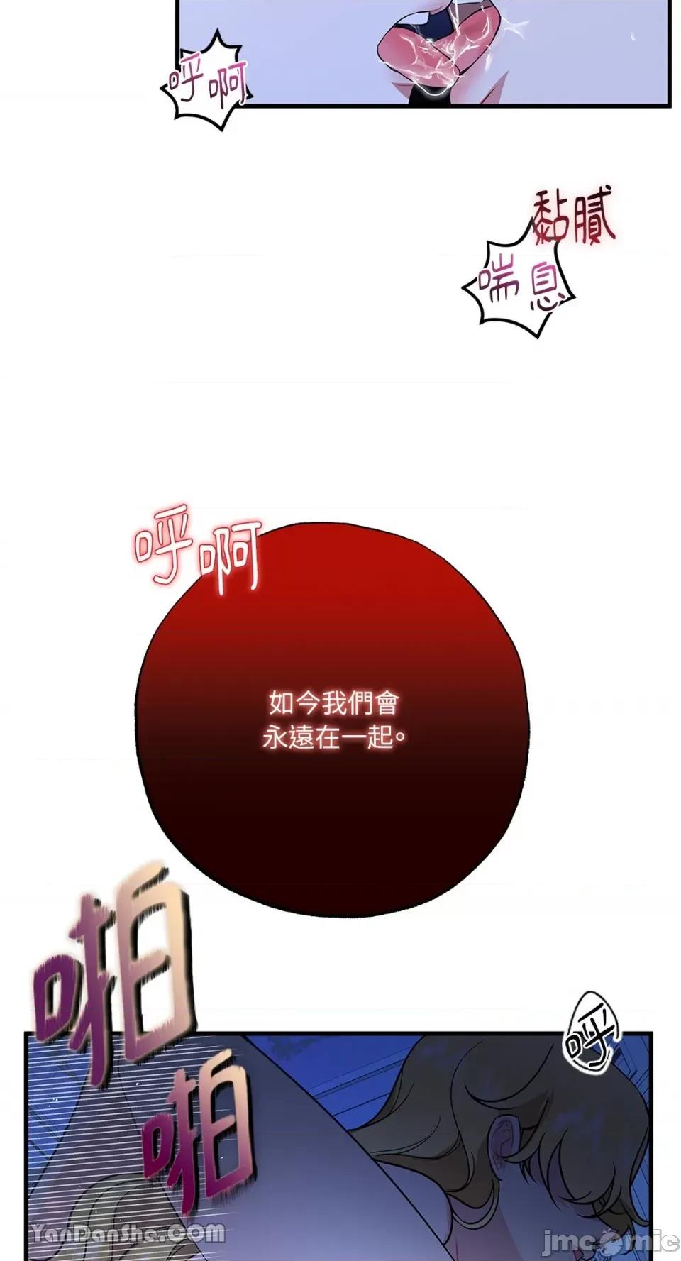 逆光下的秘密 逆光下的秘密-8 第81页