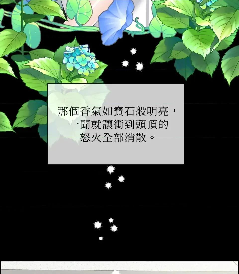 想要選哪一個Alpha? 想要選哪一個Alpha?-第37話 第139页
