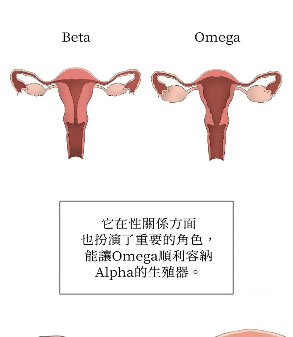想要選哪一個Alpha? 想要選哪一個Alpha?-第40話 第81页