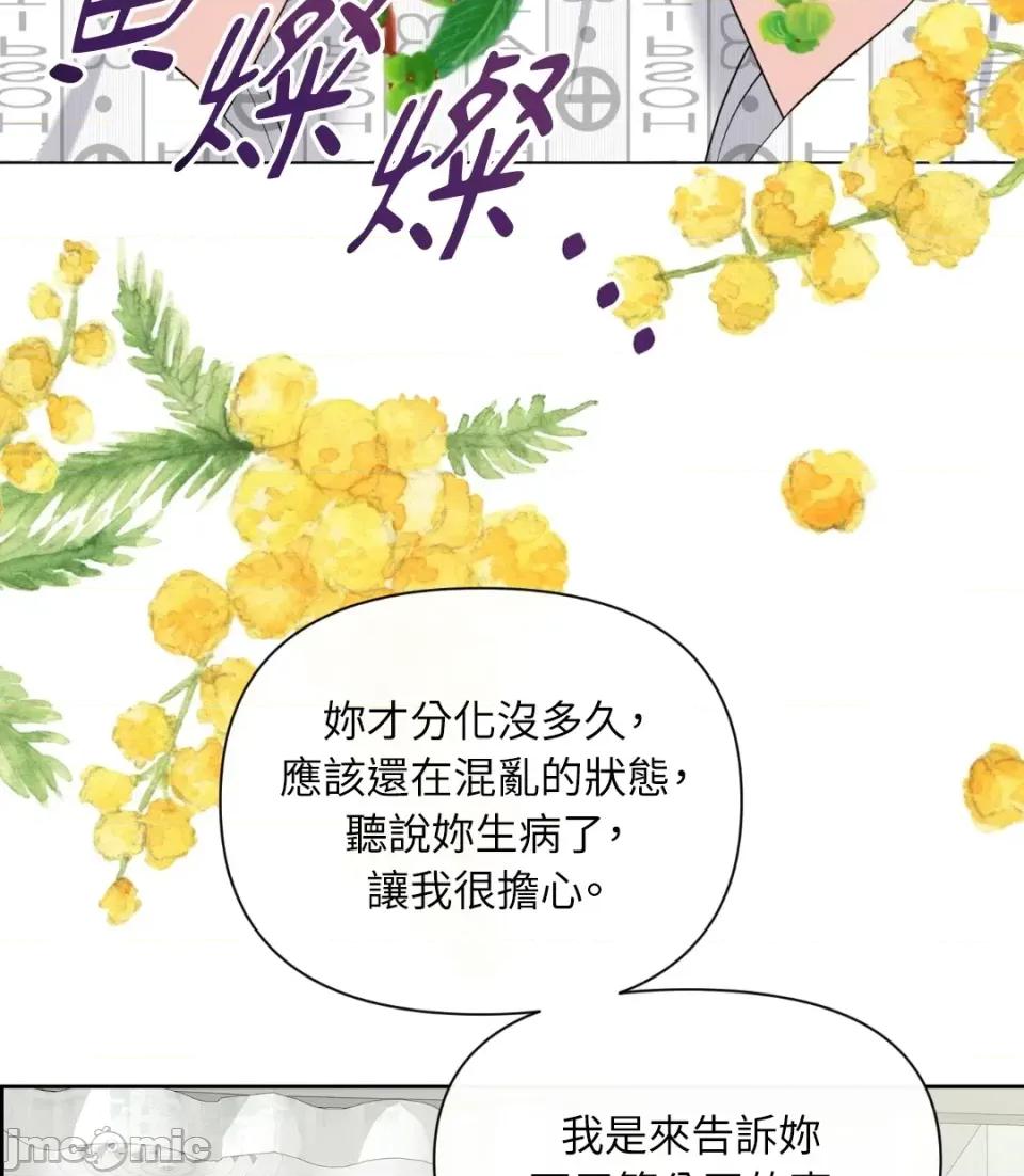 想要選哪一個Alpha? 想要選哪一個Alpha?-第40話 第145页