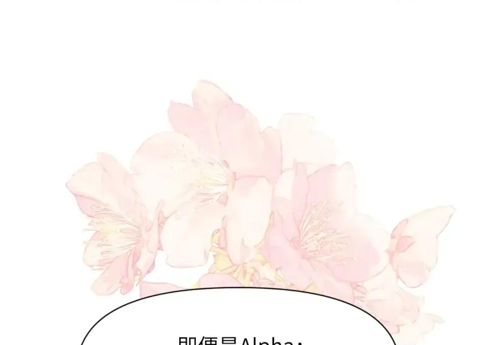 想要選哪一個Alpha? 想要選哪一個Alpha?-第41話 第74页