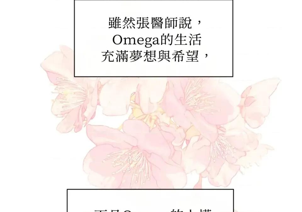 想要選哪一個Alpha? 想要選哪一個Alpha?-第41話 第82页