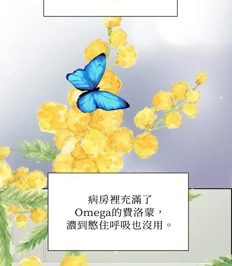 想要選哪一個Alpha? 想要選哪一個Alpha?-第41話 第169页