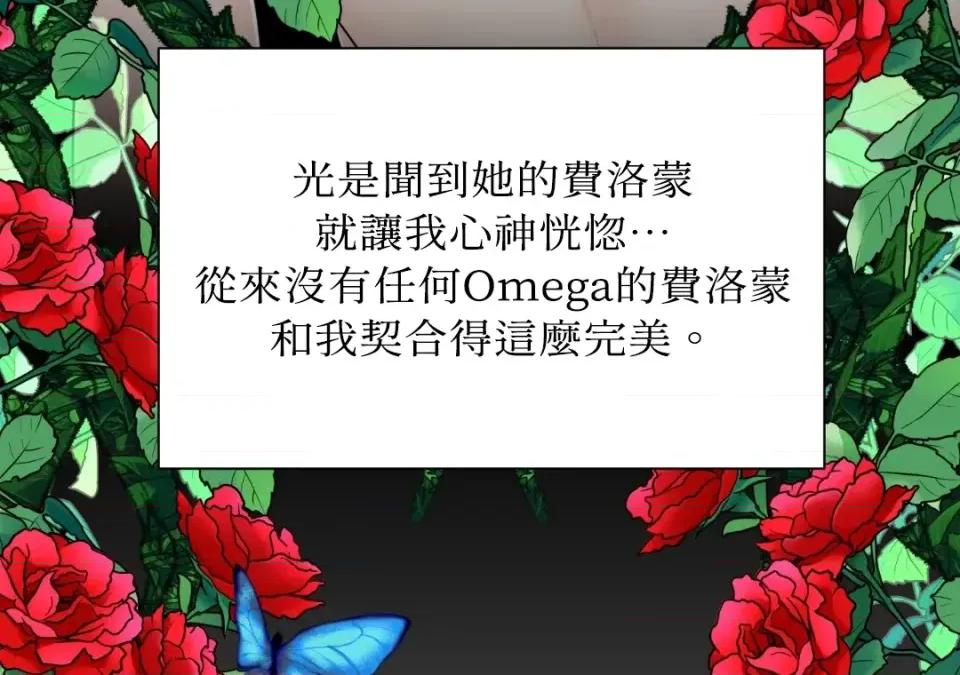 想要選哪一個Alpha? 想要選哪一個Alpha?-第41話 第176页