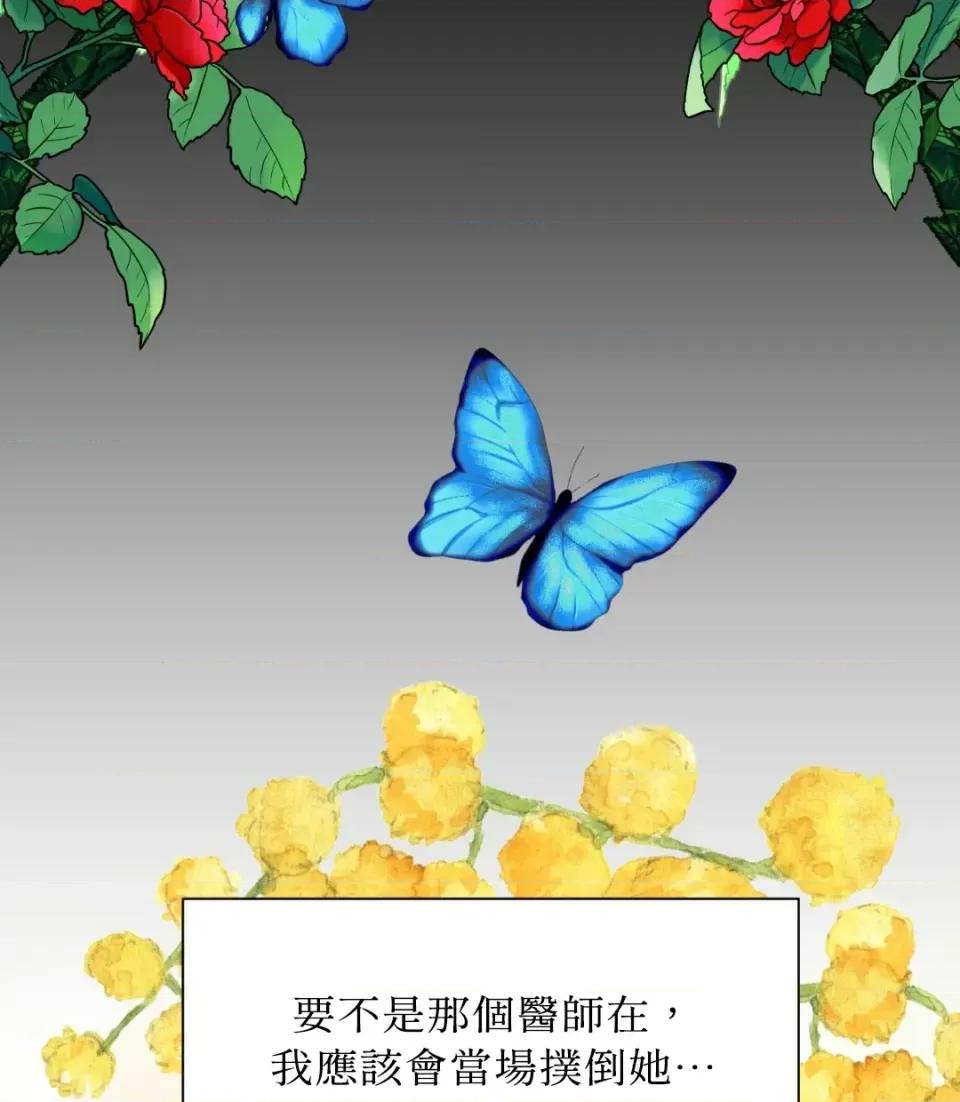 想要選哪一個Alpha? 想要選哪一個Alpha?-第41話 第177页
