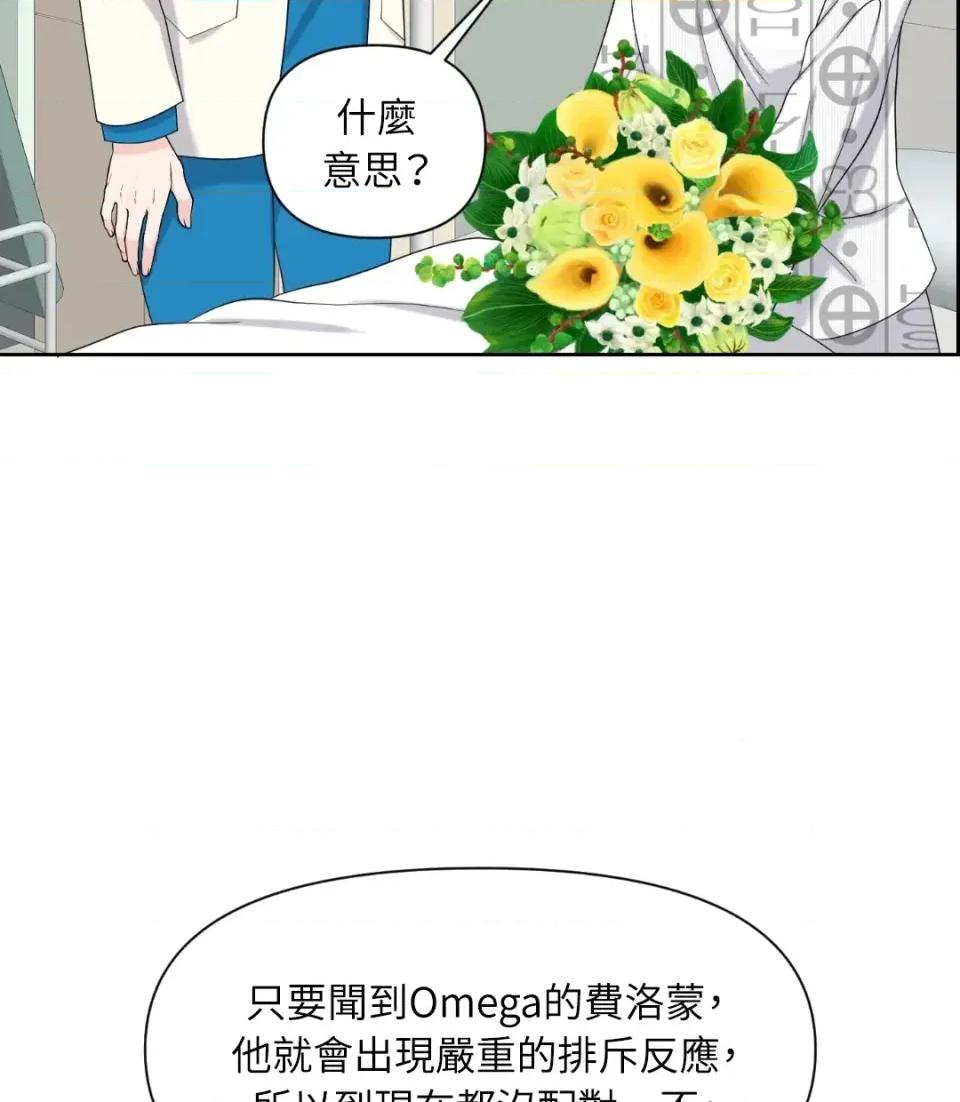 想要選哪一個Alpha? 想要選哪一個Alpha?-第42話 第29页