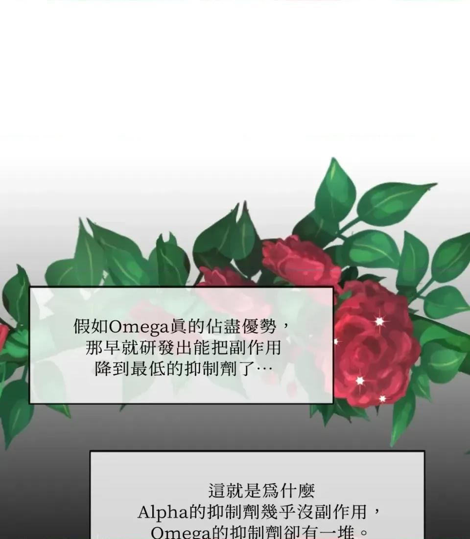 想要選哪一個Alpha? 想要選哪一個Alpha?-第43話 第107页