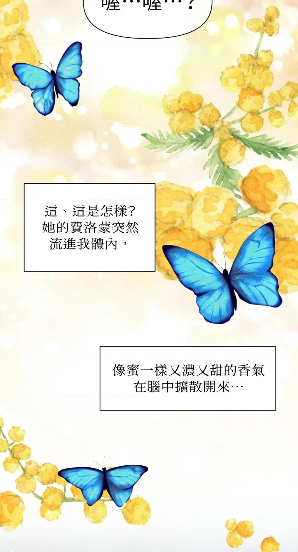 想要選哪一個Alpha? 想要選哪一個Alpha?-第49話 第64页