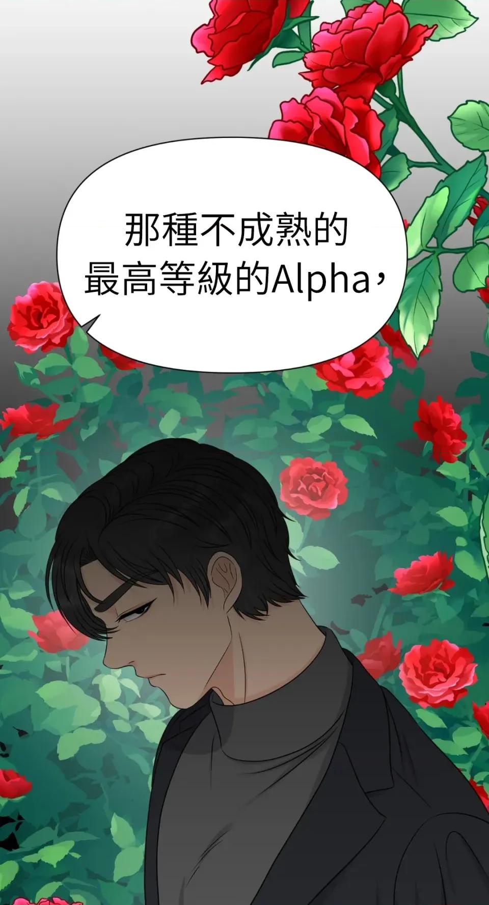 想要選哪一個Alpha? 想要選哪一個Alpha?-第53話 第81页