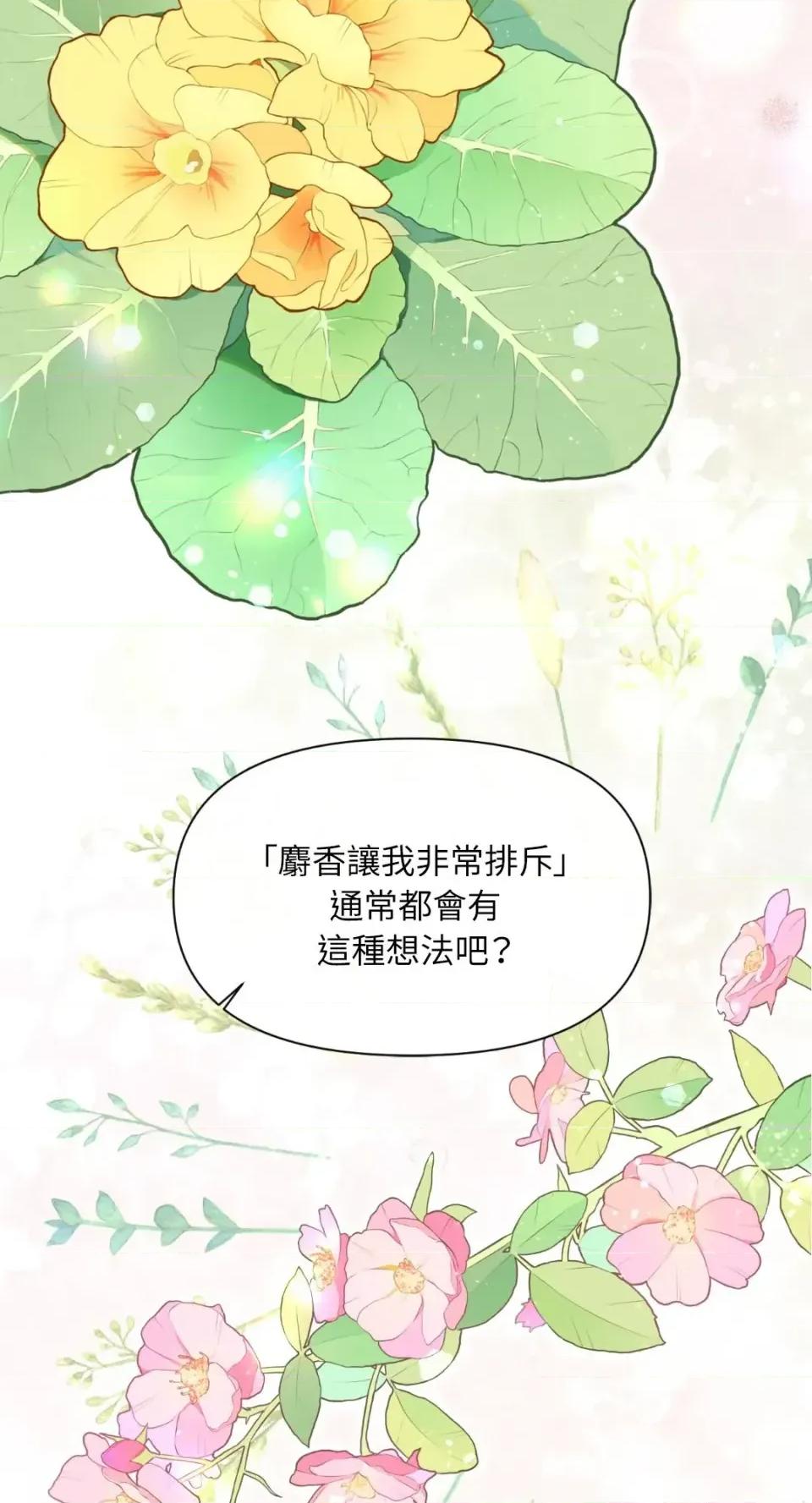 想要選哪一個Alpha? 想要選哪一個Alpha?-第88話 第38页