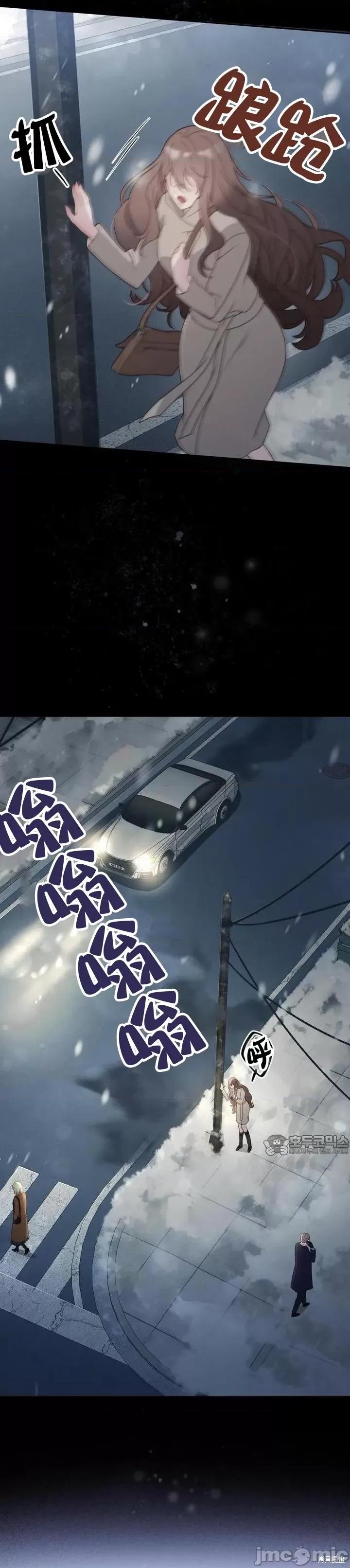 杜宾犬 杜宾犬 第24页