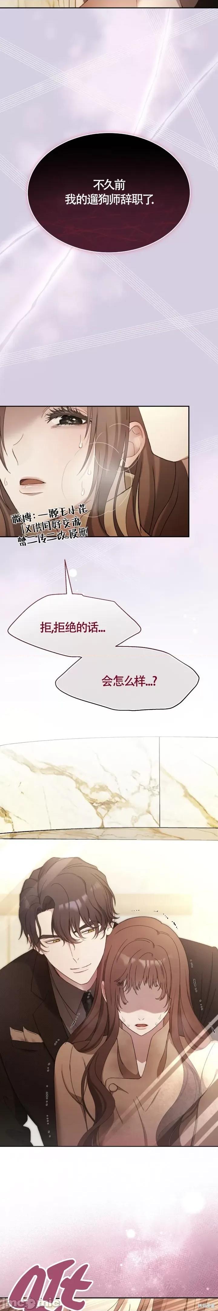 杜宾犬 杜宾犬 第39页