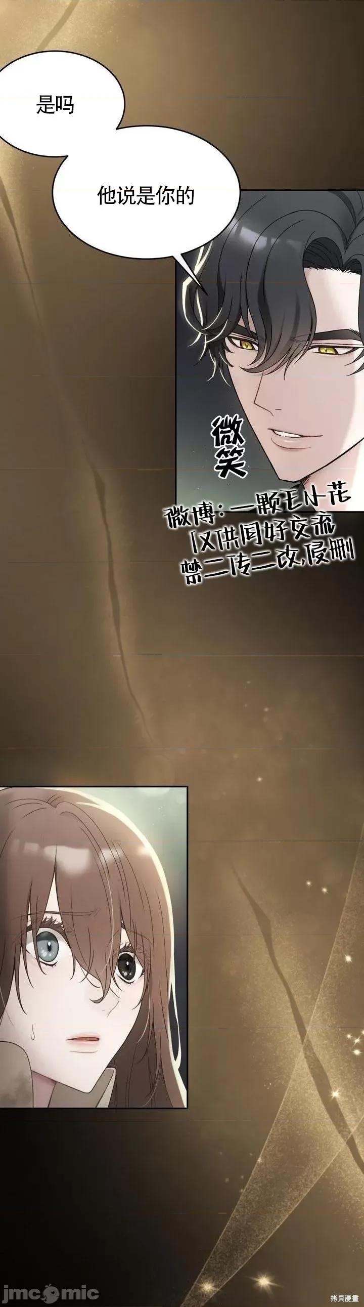杜宾犬 杜宾犬 第41页