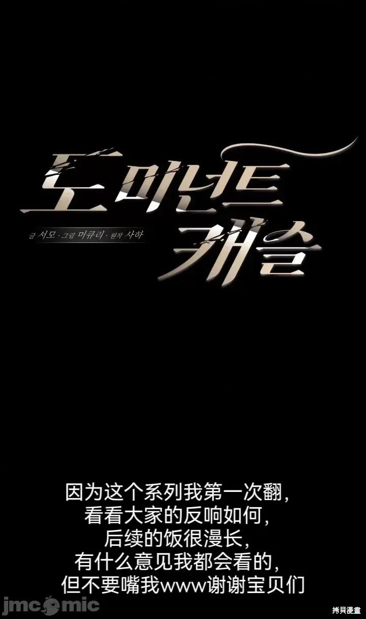 主导城堡 主导城堡 第16页