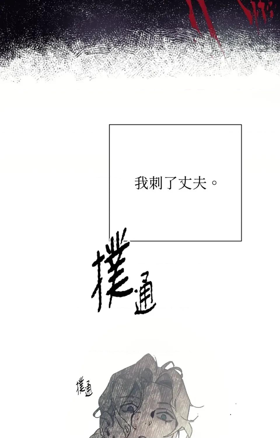 幽影貴婦的哀愁 幽影貴婦的哀愁 第3页