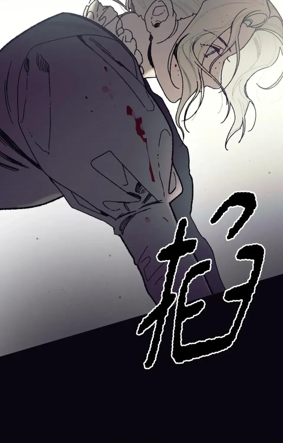 幽影貴婦的哀愁 幽影貴婦的哀愁 第14页