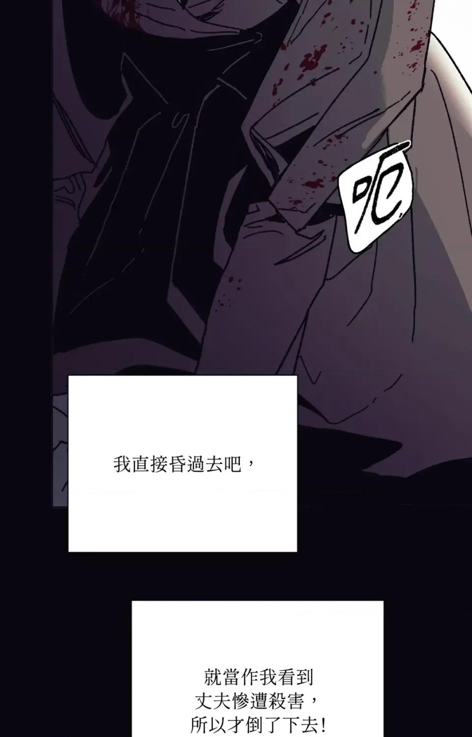 幽影貴婦的哀愁 幽影貴婦的哀愁 第18页