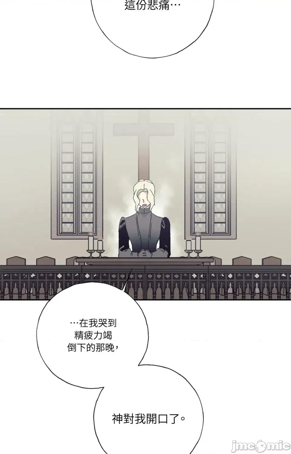 幽影貴婦的哀愁 幽影貴婦的哀愁 第35页