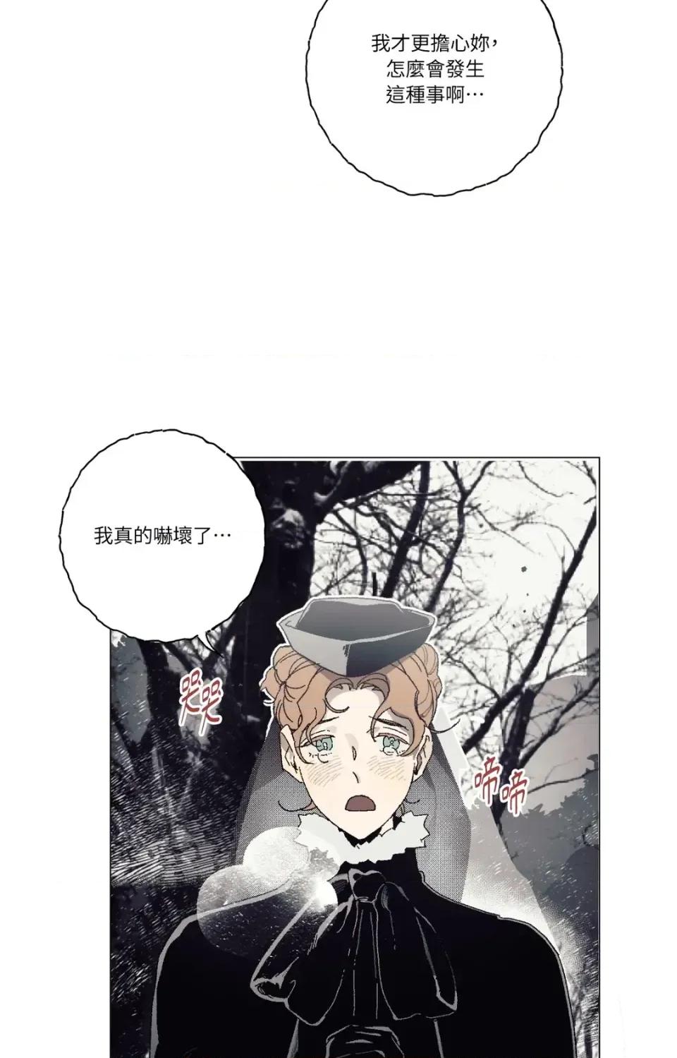 幽影貴婦的哀愁 幽影貴婦的哀愁 第54页